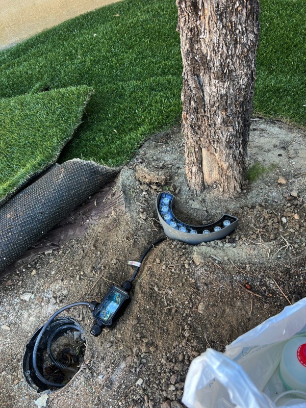 Installation d'un luminaire extérieur pour mettre en valeur un magnifique olivier à Marseille